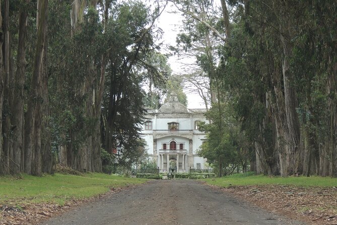 Cotopaxi Volcano and Colonial Farm Day Trip - Who Should Consider This Tour?