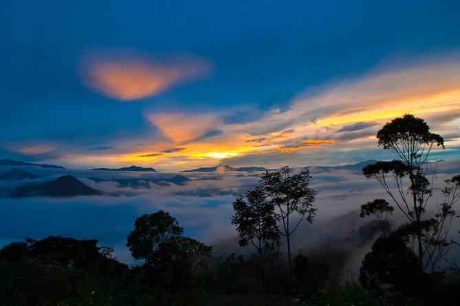 Full Day Mindo - Cloud Forest from Quito - Practical Details and Tips