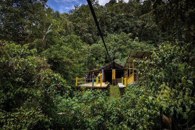 Mindo Tour with traditional breakfast at Hummingbirds Sanctuary - Who Should Consider This Tour?