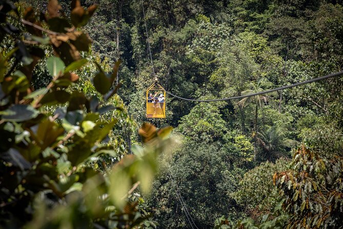 Mindo Tour with traditional breakfast at Hummingbirds Sanctuary - Exploring the Mindo Tour in Detail