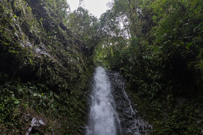 Mindo Tour with traditional breakfast at Hummingbirds Sanctuary - Final Thoughts