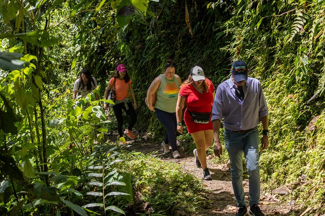 Mindo Tour with traditional breakfast at Hummingbirds Sanctuary - FAQ