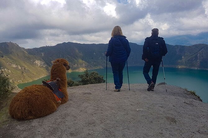 Cotopaxi and Quilotoa Volcano Tour - Lunch & Tickets included - Value and Practical Considerations