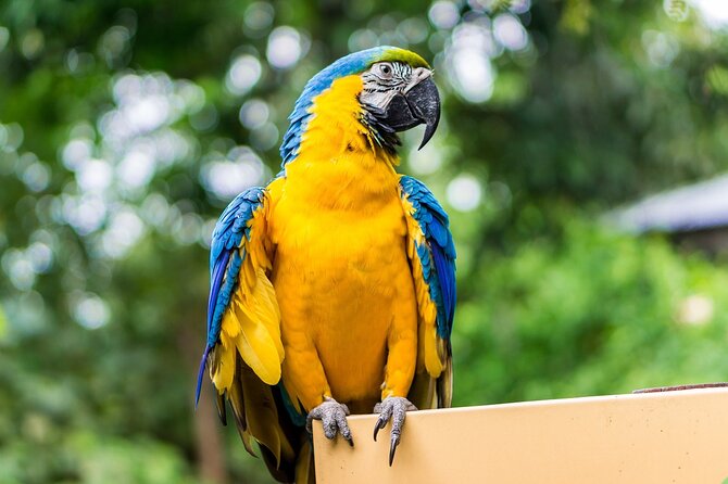 8-day tour through the mountains and Amazon of Ecuador - Final Thoughts