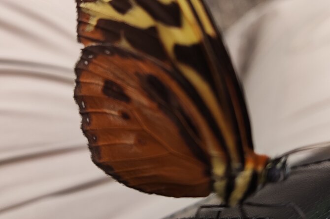 Private Hike through the Waterfalls of the Mindo Cloud Forest - What Makes This Tour Stand Out