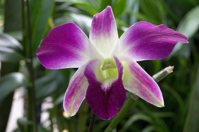 Mindo Tour - What’s Included and What’s Not