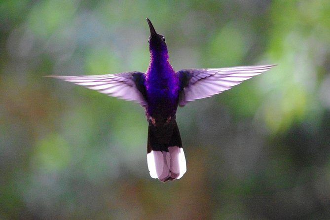 Mindo Tour - Exploring Mindo