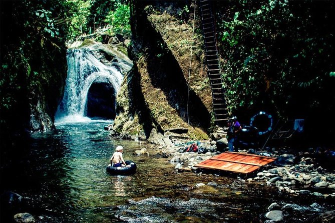 Mindo Tour - Birdwatching and Wildlife