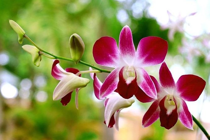 Mindo Tour - Key Points