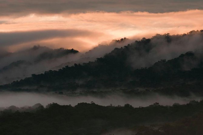 Bellavista Cloud Forest Reserve - full day - Exploring the Bellavista Cloud Forest Reserve: A Full-Day Adventure