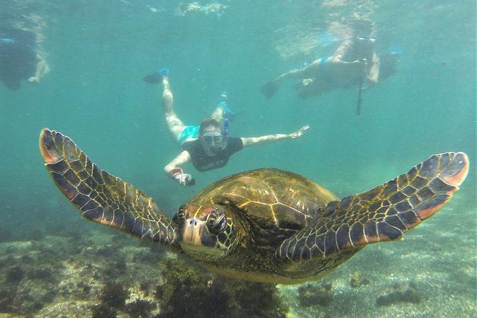 7-Day Galapagos Magic Expedition - Why This Tour Works for You