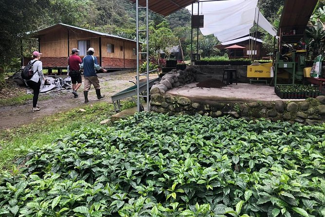 Private Excursion Middle of the World & Hummingbirds Alambi - A Deep Dive Into the Experience