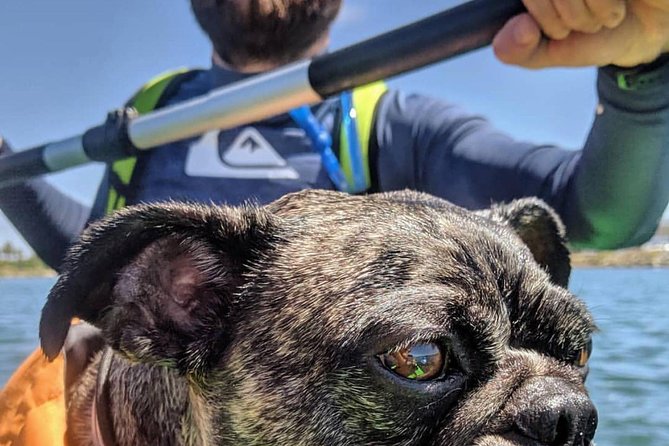 SUP Rental - Who Should Consider This SUP Rental?