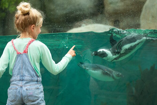 San Diego Zoo 1-Day Pass: Any Day Ticket - The Sum Up