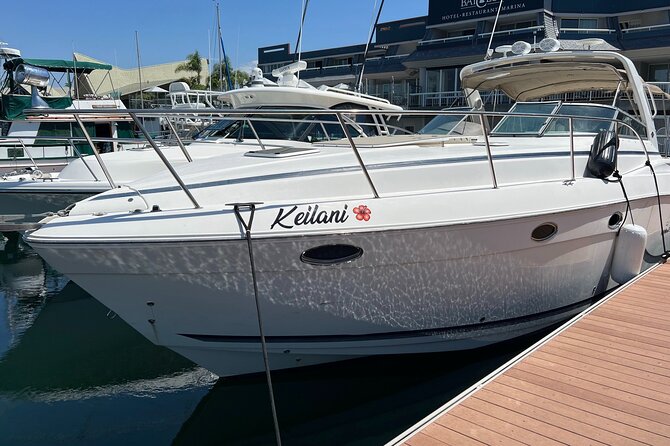 Private Luxury 45' Bay Cruiser Tour in San Diego: Suitable for Any Events - What to Expect When Booking