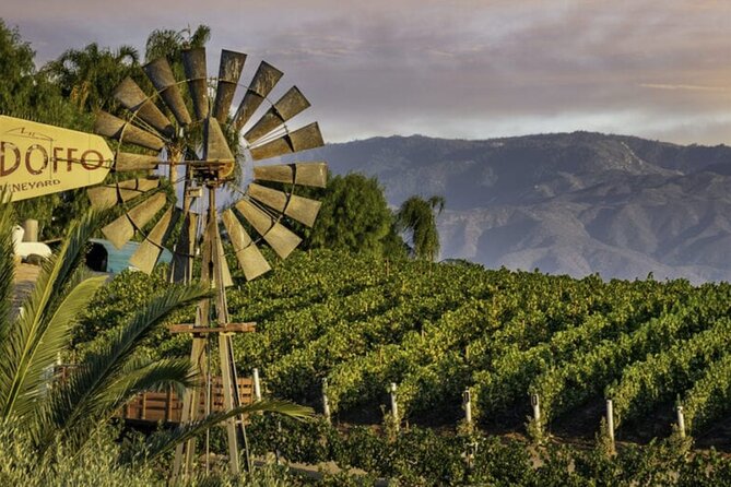 From San Diego Temecula Wine Country Tour - In-Depth Look at the Itinerary