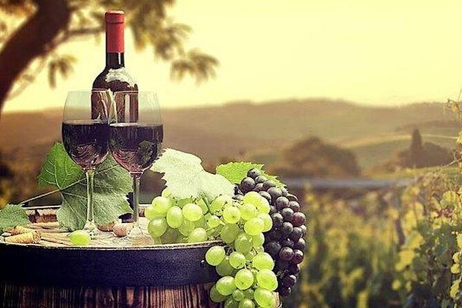 From San Diego Temecula Wine Country Tour - What Travelers Say and Expect