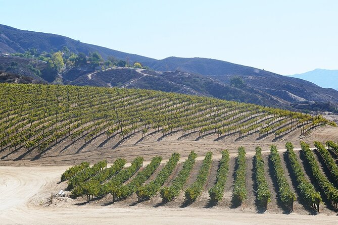 From San Diego Temecula Wine Country Tour - FAQ