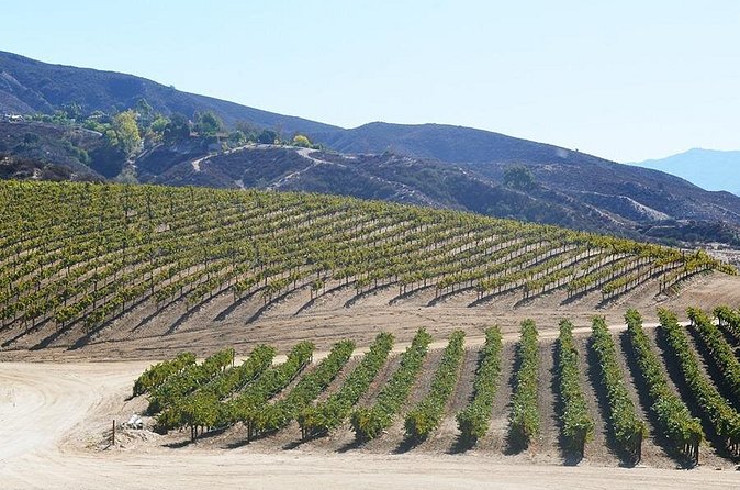 From San Diego Temecula Wine Country Tour - The Sum Up