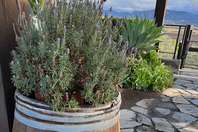 Private Tour Premium Wineries in the Valle de Guadalupe - FAQs