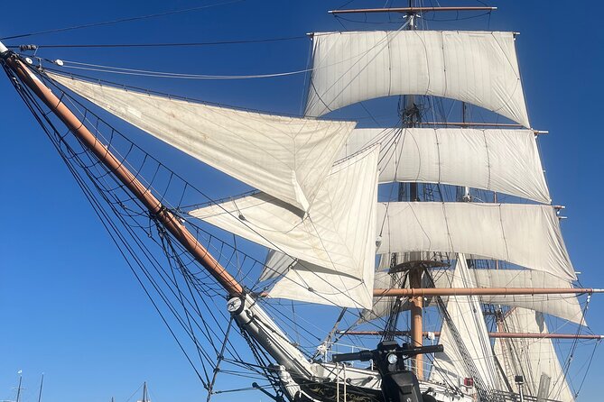 Balboa Park Scooter Tour - Final Thoughts: Who Will Enjoy This Tour Most?