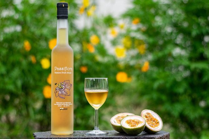 Costa Rica Central Valley Wine, Beer, and Mead Tour and Tasting - An In-Depth Look at the Costa Rica Meadery Tour