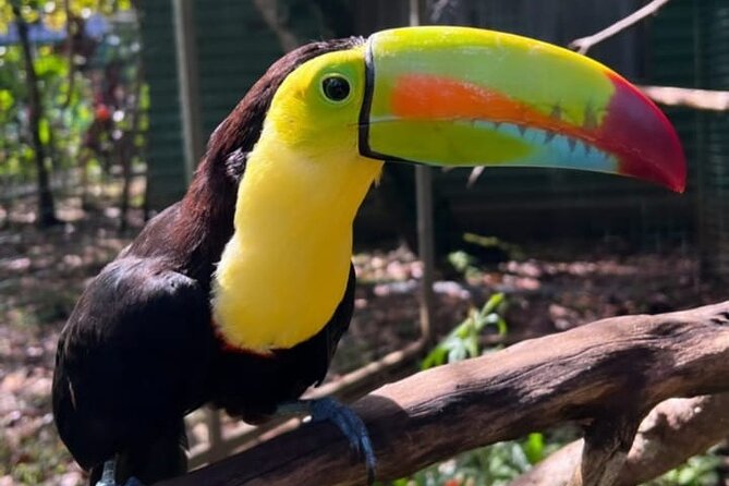 Animal Rescue center around San Jose - Experience tour - Authentic Encounters and Honest Reviews