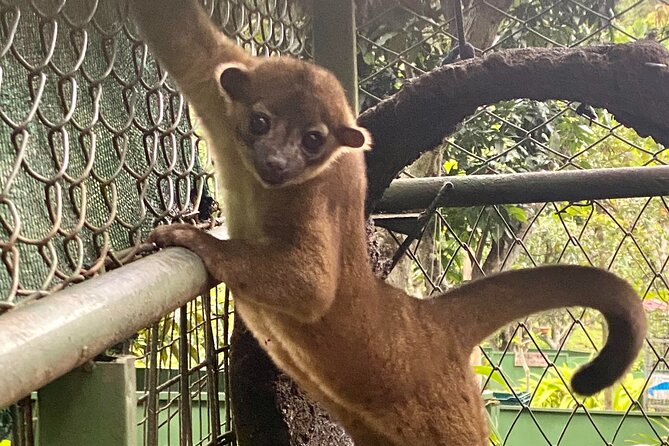 Animal Rescue center around San Jose - Experience tour - FAQ