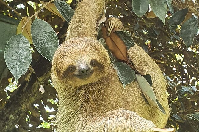 Animal Rescue center around San Jose - Experience tour - Who Will Love This Tour?