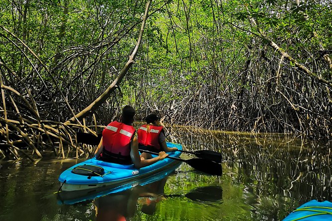 Kayaking Tour Chiriqui - Frequently Asked Questions