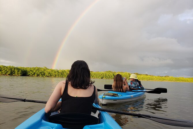Kayaking Tour Chiriqui - Exploring Panama’s Bahia Muertos Wetland by Kayak