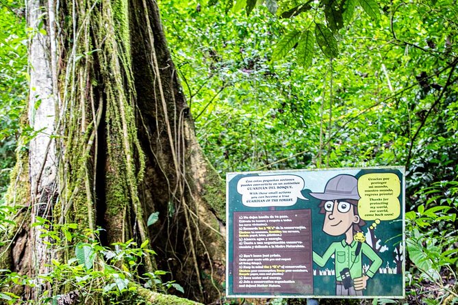 Jungle ATV Waterfall and Zipline Adventure from Panama City - Final Thoughts