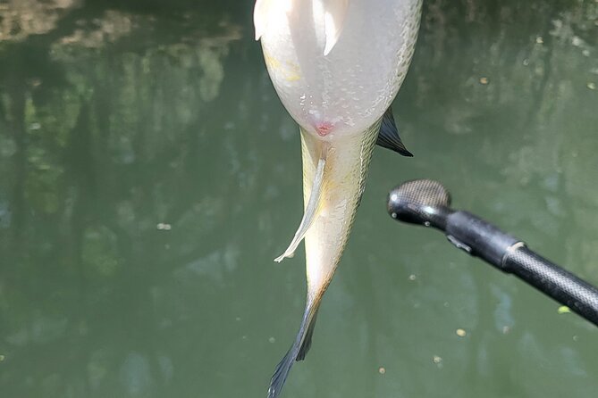 Kayak FISHING Down The Verde River Full Day 20 min from Sedona - An In-Depth Look at the Verde River Kayak Fishing Tour