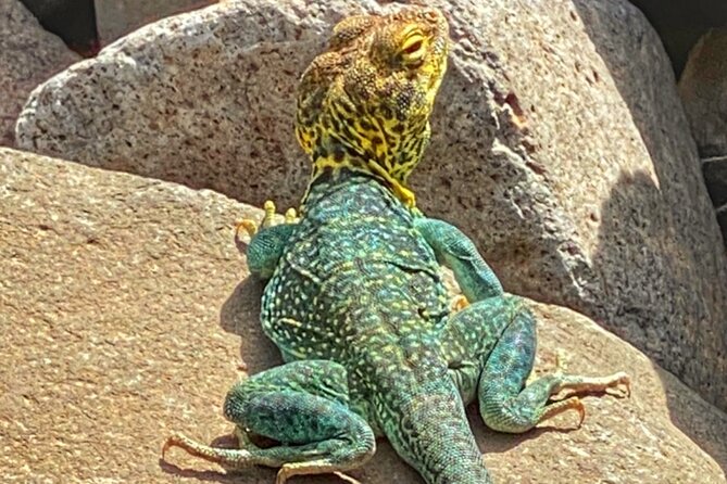 Sedona Sneak-a-Peak Hike With a Private Guide - Frequently Asked Questions