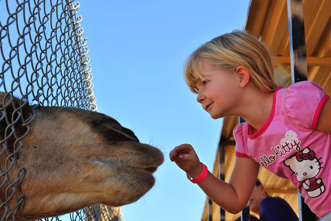 Out of Africa Wildlife Park Admission Ticket - Possible Drawbacks or Considerations