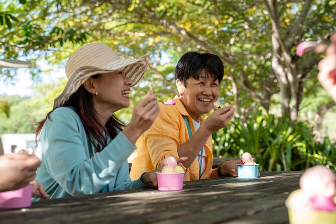 Cairns: Waterfall, Wetlands & Kuranda Scenic Rail All Inclusive - Final Thoughts