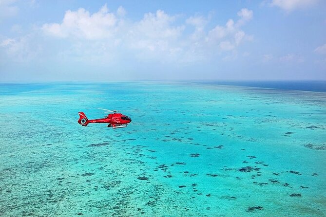 Great Barrier Reef 30-Minute Scenic Helicopter Tour from Cairns - Why You’ll Love This Experience