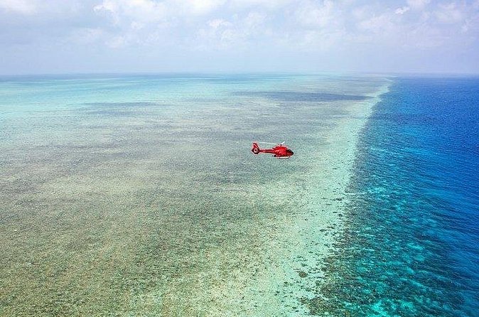 Great Barrier Reef 30-Minute Scenic Helicopter Tour from Cairns - The Value of This Tour