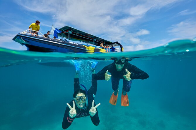 Cairns Great Barrier Reef Snorkel and Flight Adventure - Authentic Experiences & Traveler Insights