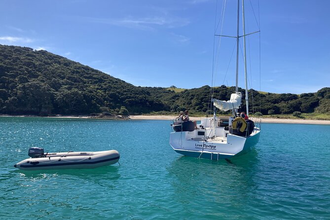 Private Yacht Charter and Island Excursions in the Bay of Islands - Frequently Asked Questions