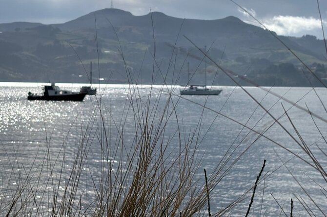 Otago Peninsula's Hidden Gems: A Self Guided Driving Tour - Larnach Castle and Soldiers Monument: Historic Landmarks