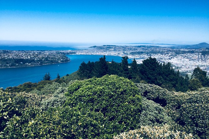 A 2 hour Small Group Dunedin City Highlights Tour - Breakdown of the Itinerary