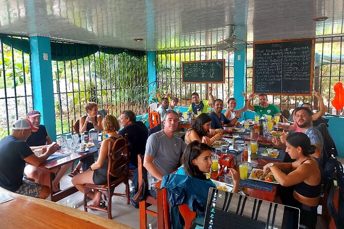 Tour in Corcovado National Park San Pedrillo Station - Wildlife Sightings and Observations