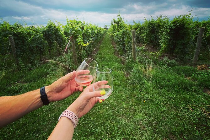 Lunch in the Vineyard: A Scenic Niagara Wine Tour Experience - Who Is This Tour Best For?
