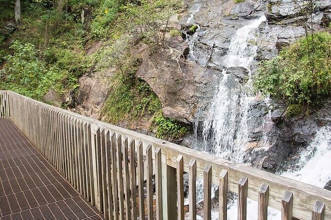 Full Day Tour from Atlanta to Amicalola Falls and Blue Ridge - An In-Depth Look at the Itinerary