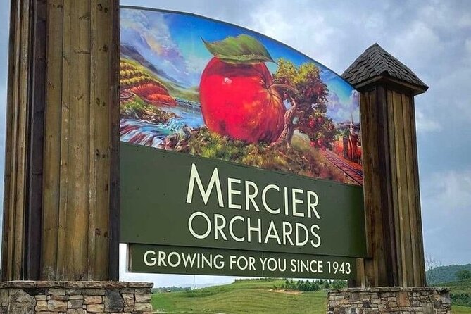 Full Day Tour from Atlanta to Amicalola Falls and Blue Ridge - Final Thoughts