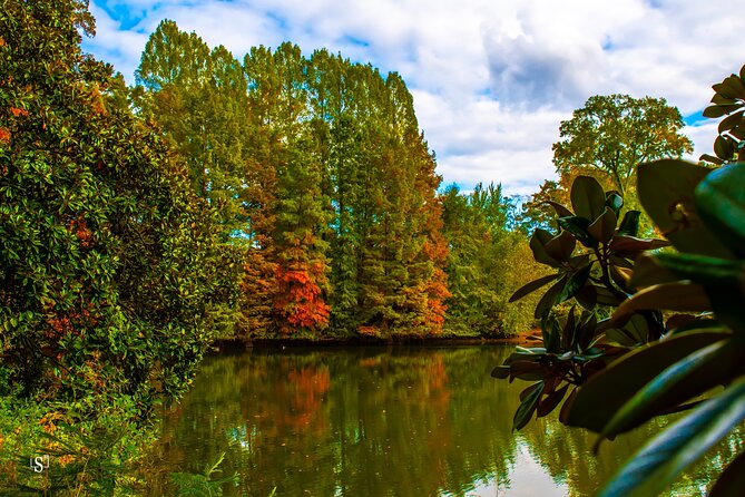 Sunset Photography Tour of Piedmont Park Atlanta - Who Should Consider This Tour?