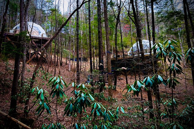 Elijay Hike w/ Waterfall & Wine Tasting Private Tour from ATL - Practical Considerations