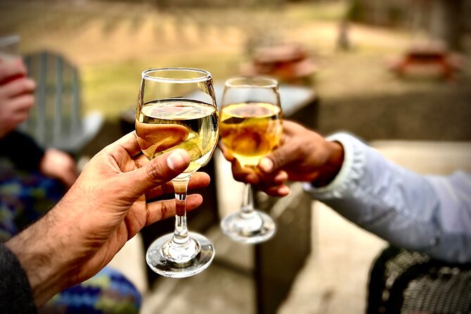 Elijay Hike w/ Waterfall & Wine Tasting Private Tour from ATL - Introduction