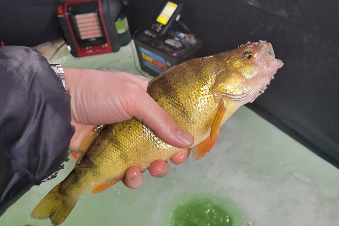 Ice Fishing in Park City - Key Points